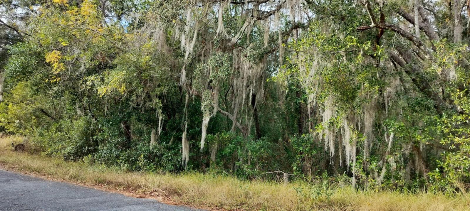 965 S SALLY TER, INVERNESS, FL — photo 9