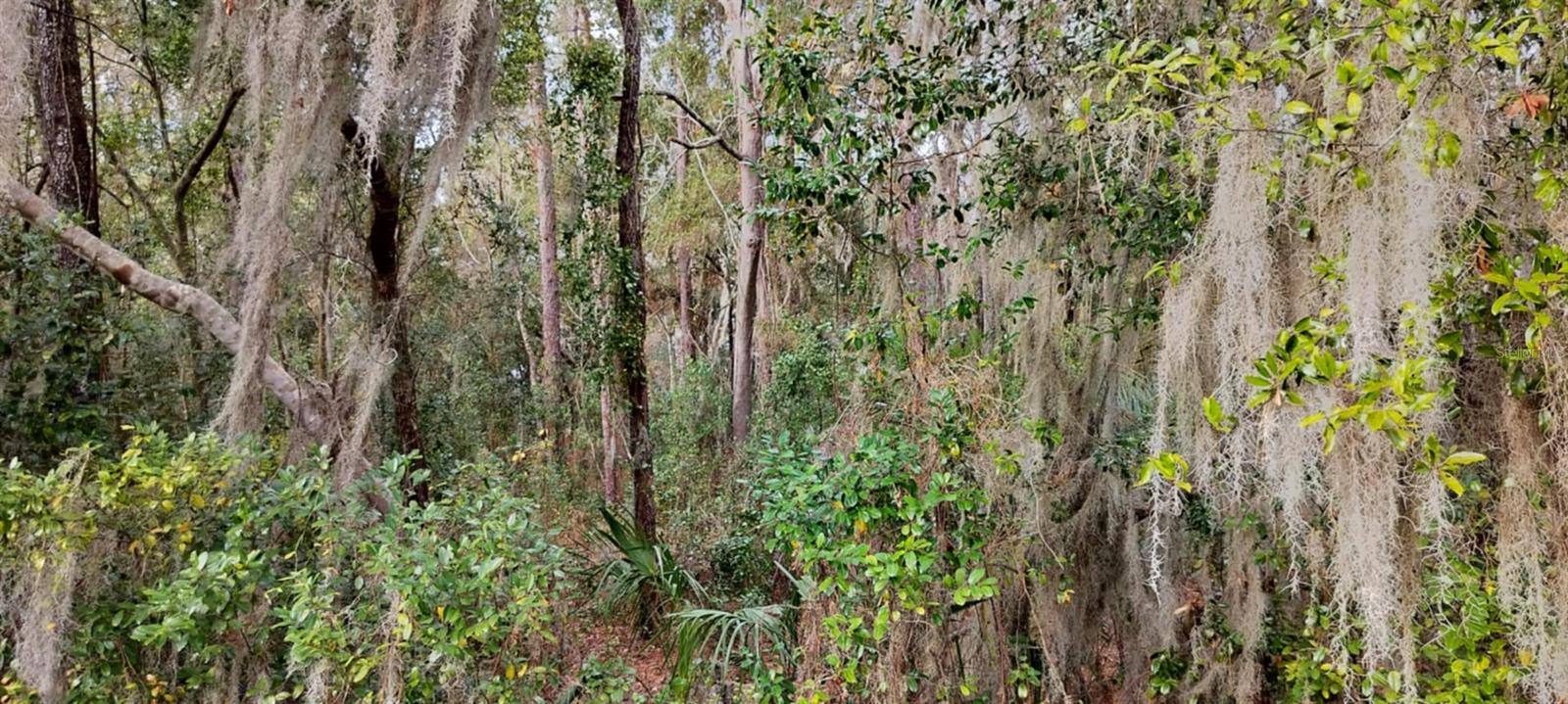 965 S SALLY TER, INVERNESS, FL — photo 10