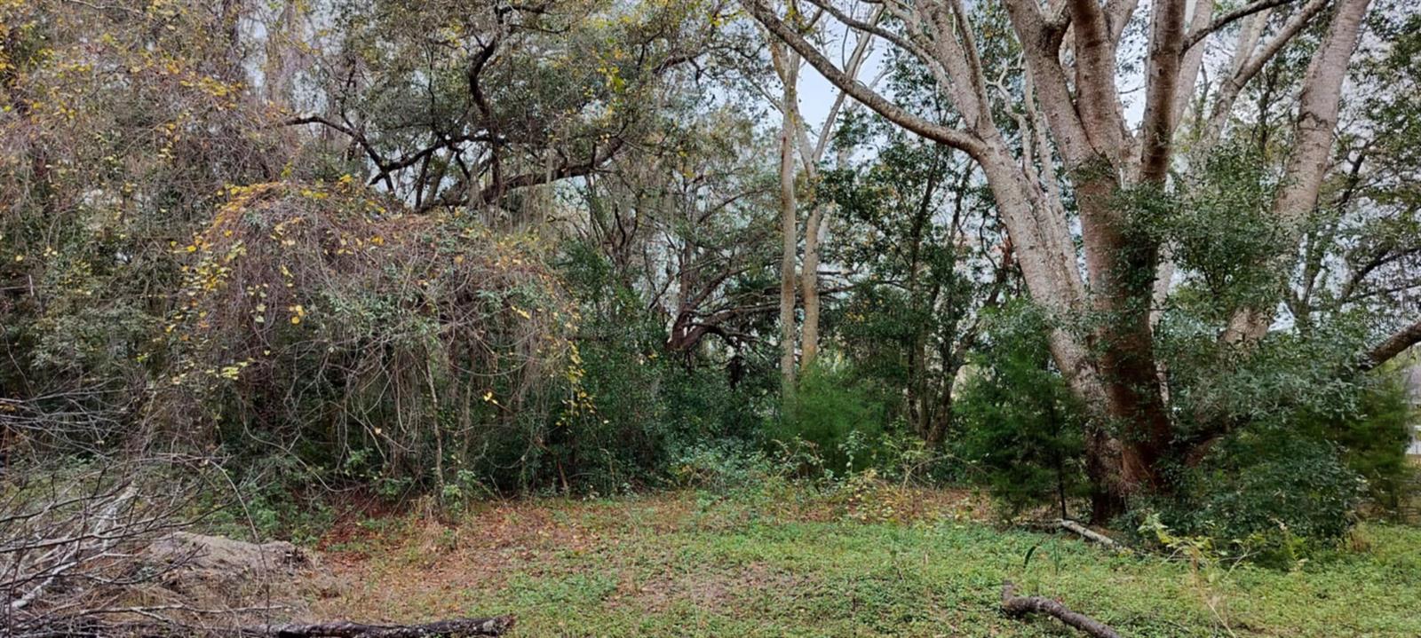 965 S SALLY TER, INVERNESS, FL — photo 11