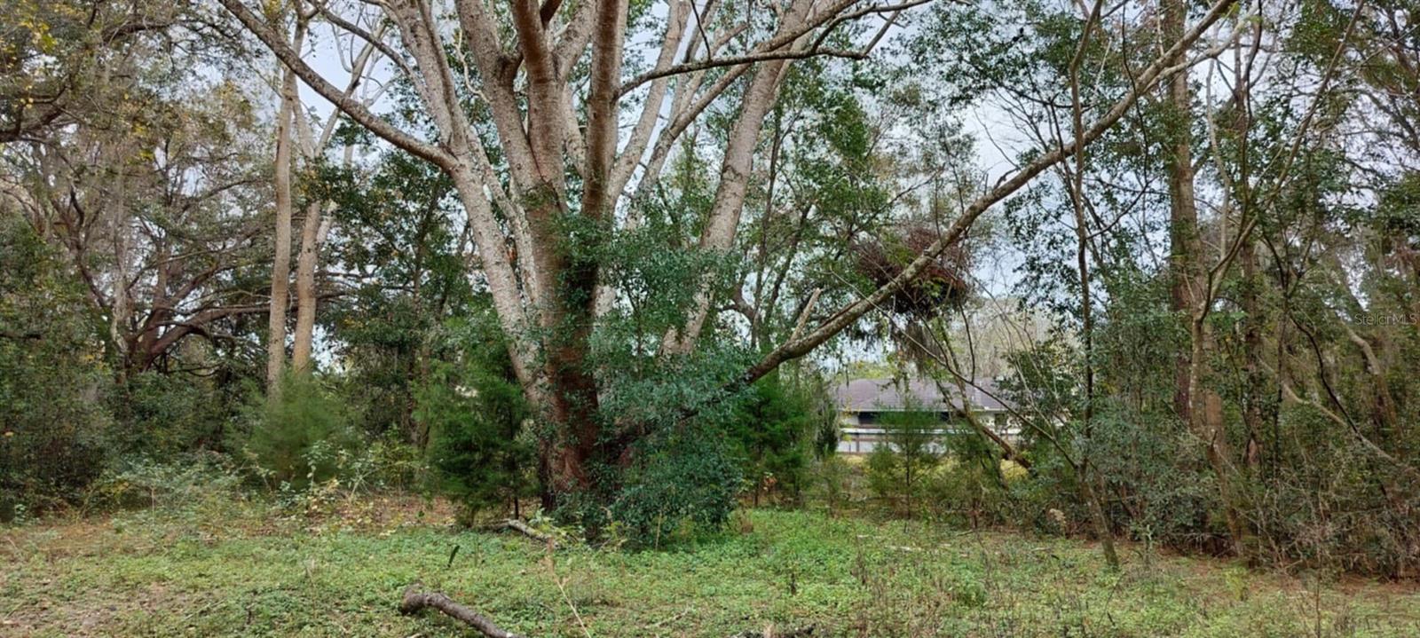965 S SALLY TER, INVERNESS, FL — photo 12