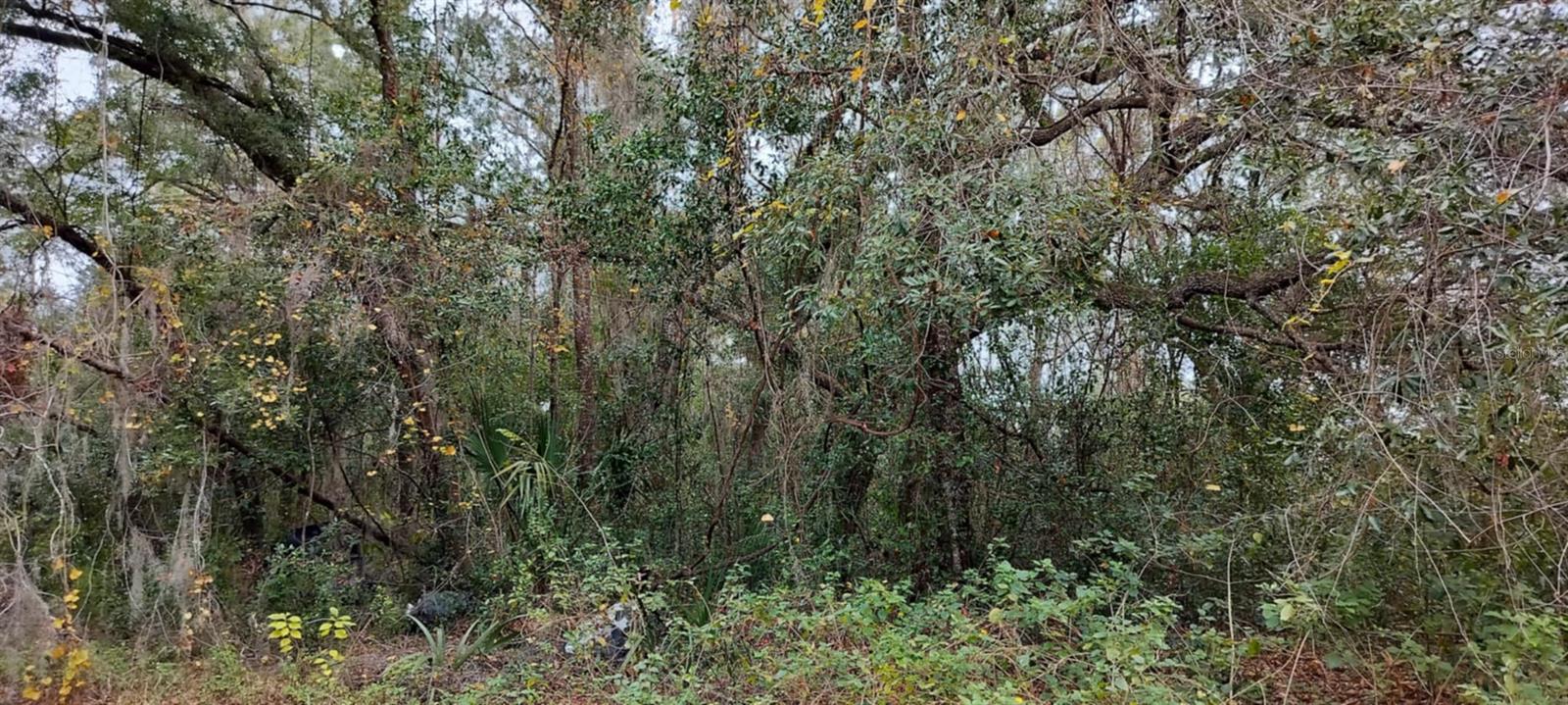 965 S SALLY TER, INVERNESS, FL — photo 13