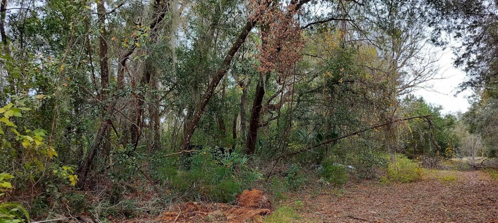 965 S SALLY TER, INVERNESS, FL — photo 14