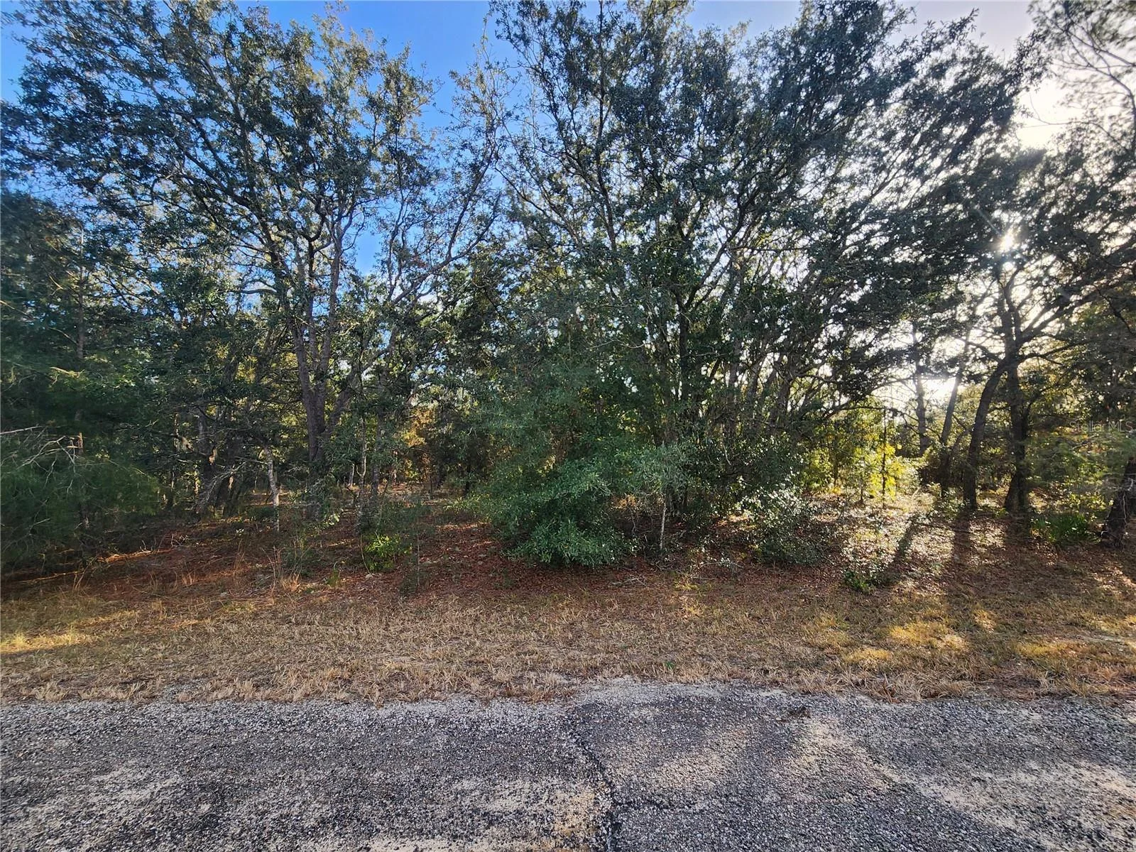 2176 W CONWAY DR, CITRUS SPRINGS, FL — photo 1