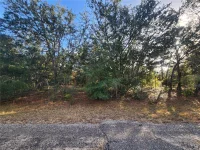 2176 W CONWAY DR — photo 1
