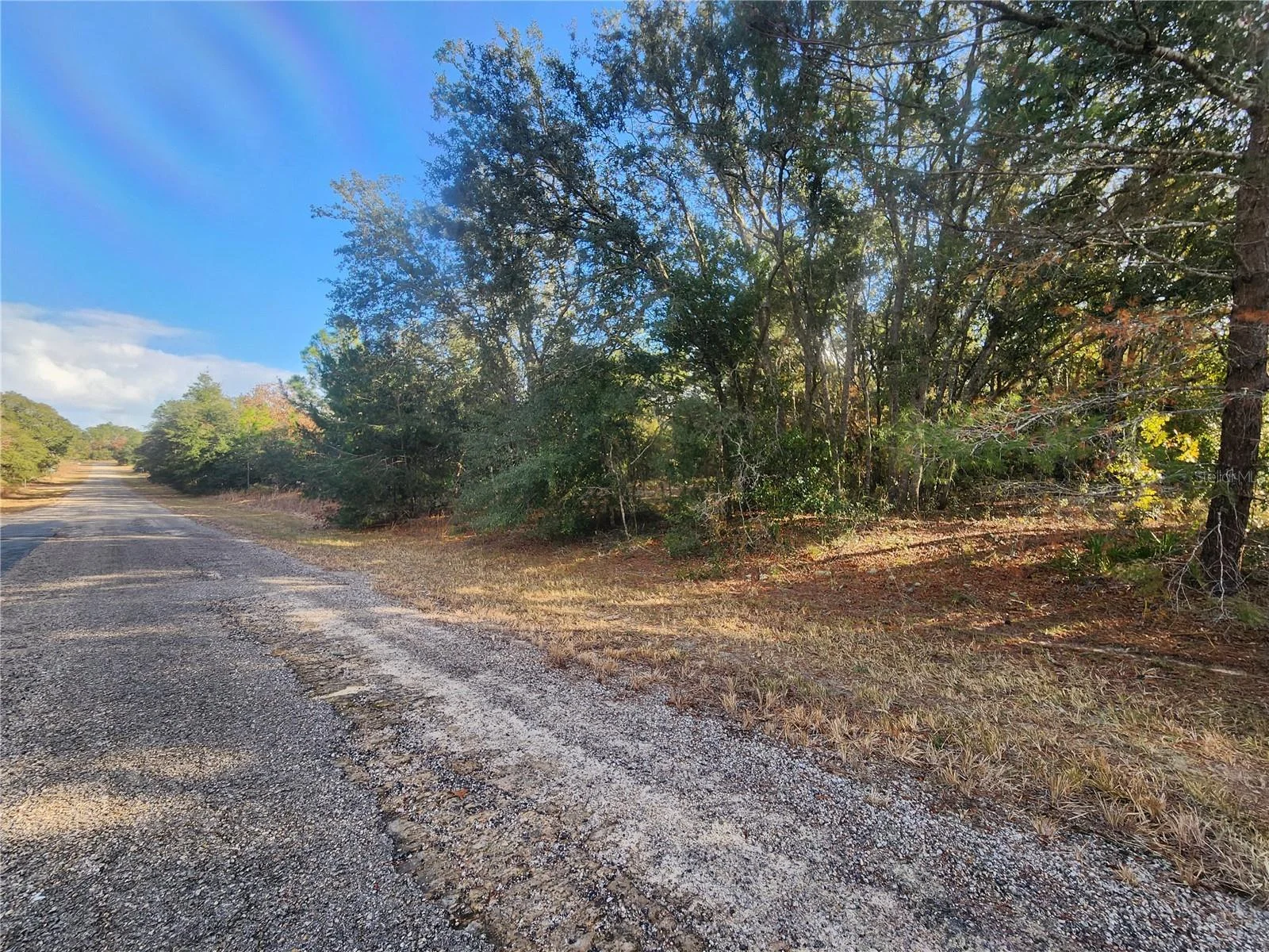 2176 W CONWAY DR, CITRUS SPRINGS, FL — photo 3