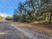 2176 W CONWAY DR — photo 3