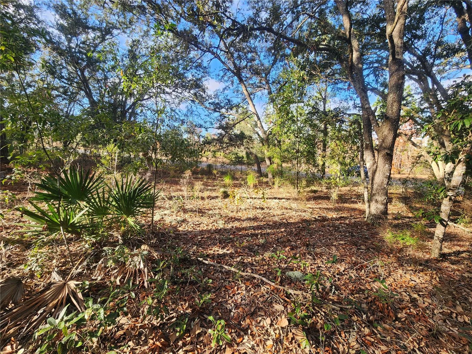 2176 W CONWAY DR, CITRUS SPRINGS, FL — photo 5
