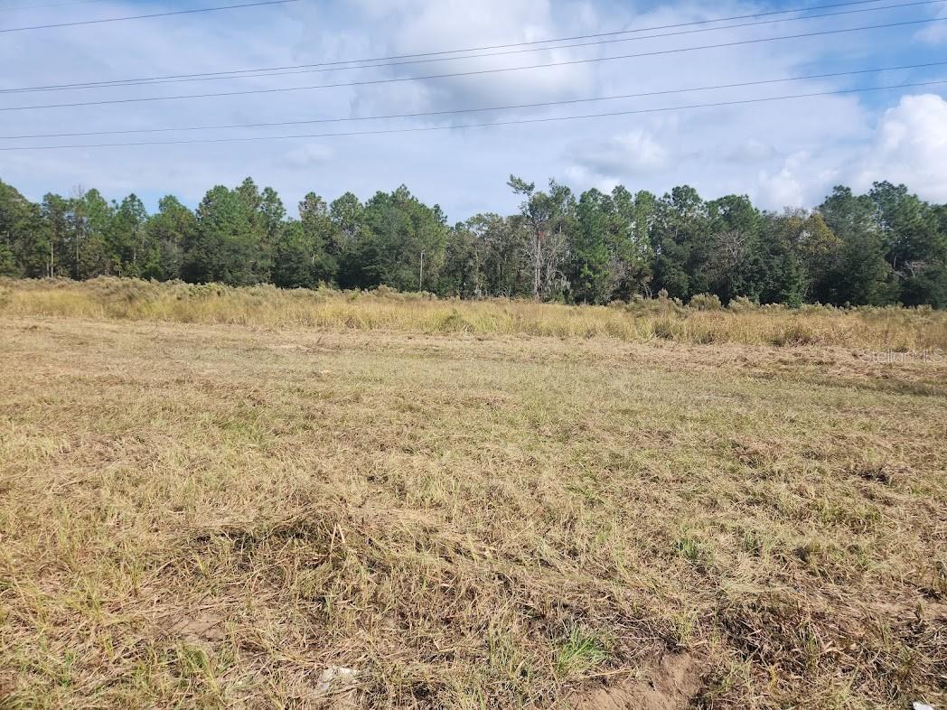 SE MARICAMP RD, OCALA, FL — photo 2