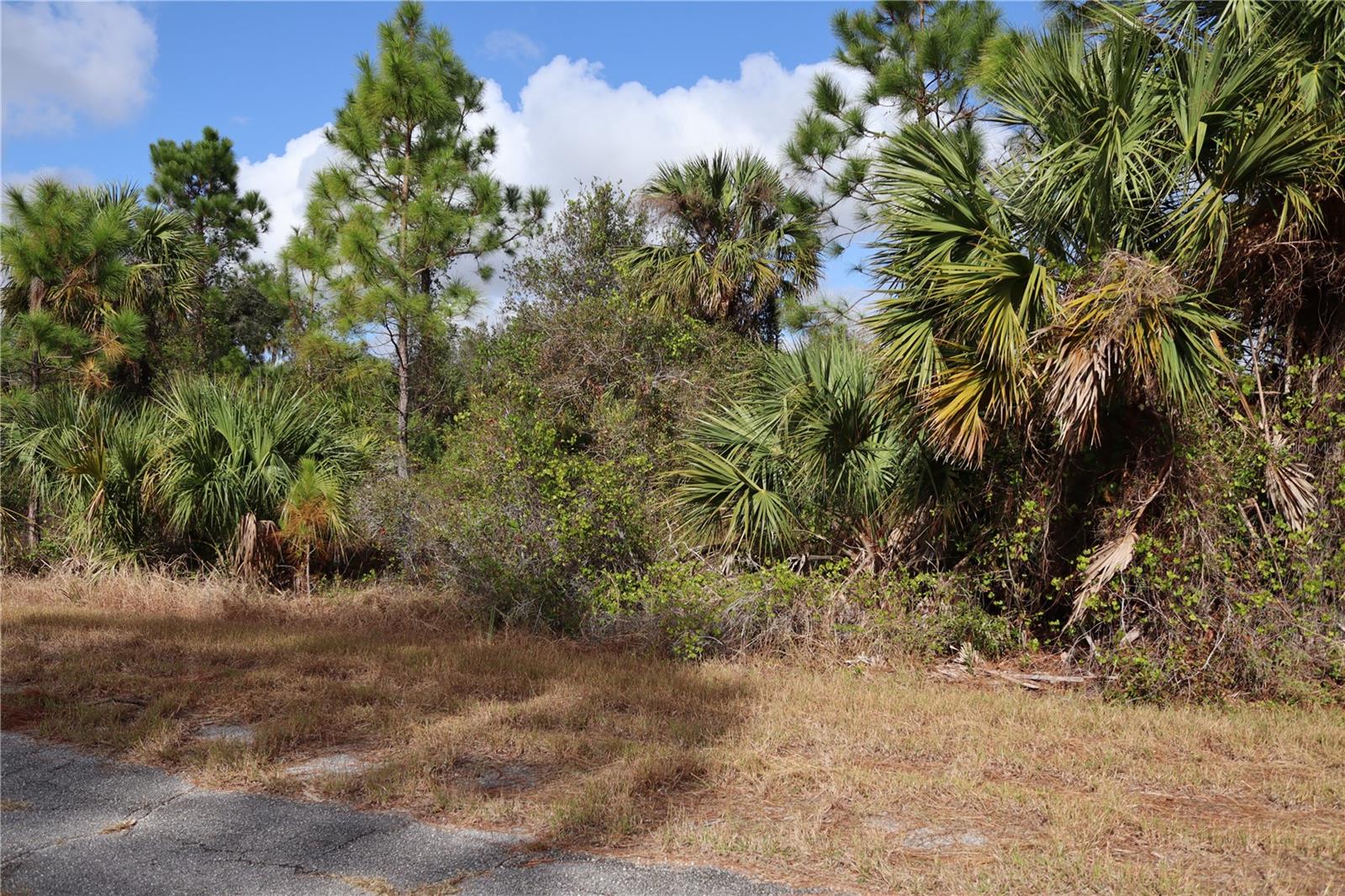 PATRIOT CIR, NORTH PORT, FL — photo 3