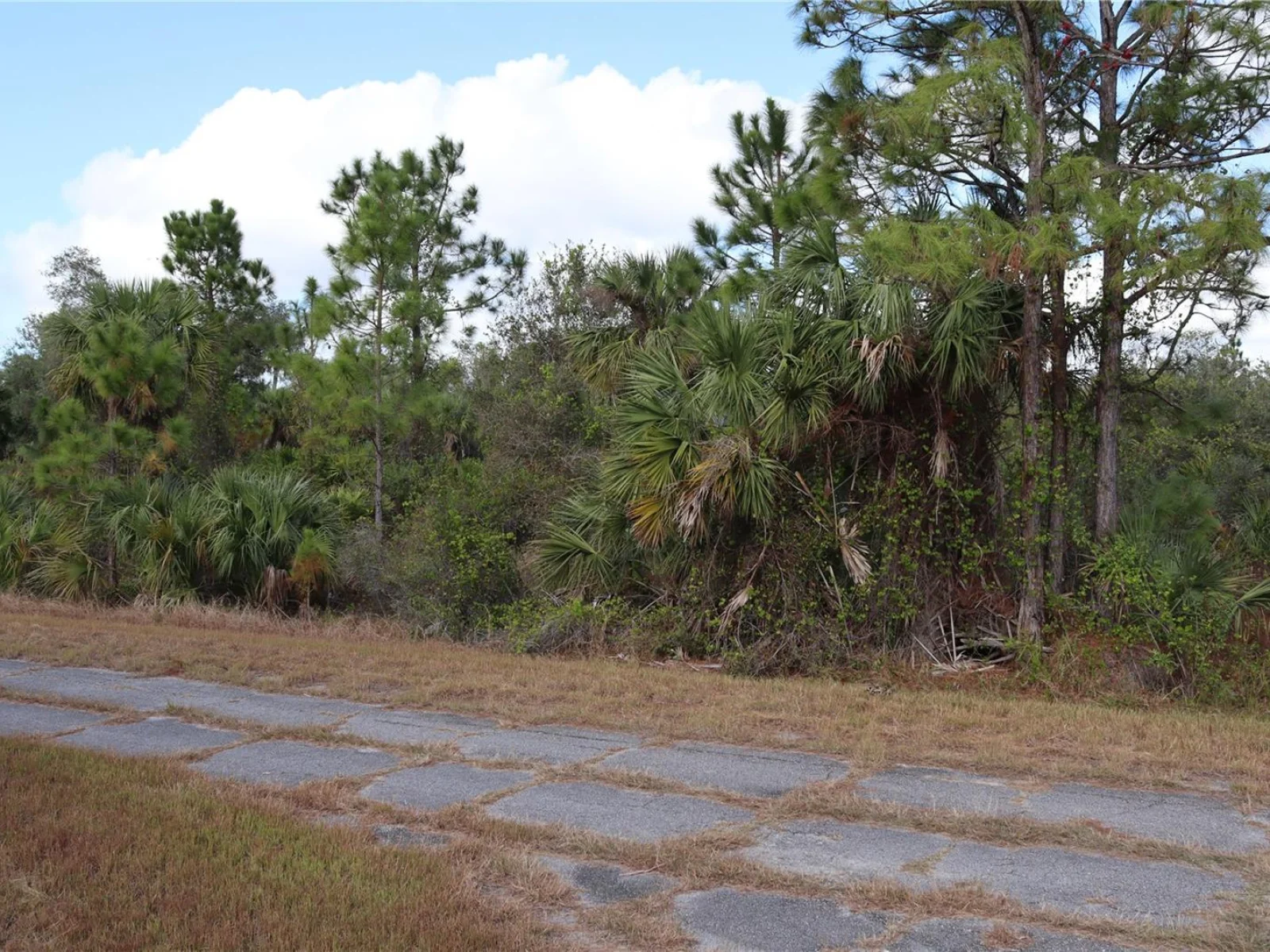 PATRIOT CIR, NORTH PORT, FL — photo 11