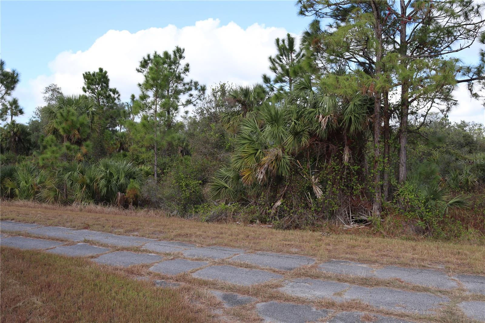 PATRIOT CIR, NORTH PORT, FL — photo 12