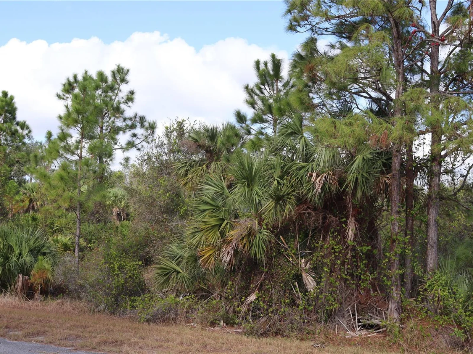 PATRIOT CIR, NORTH PORT, FL — photo 13
