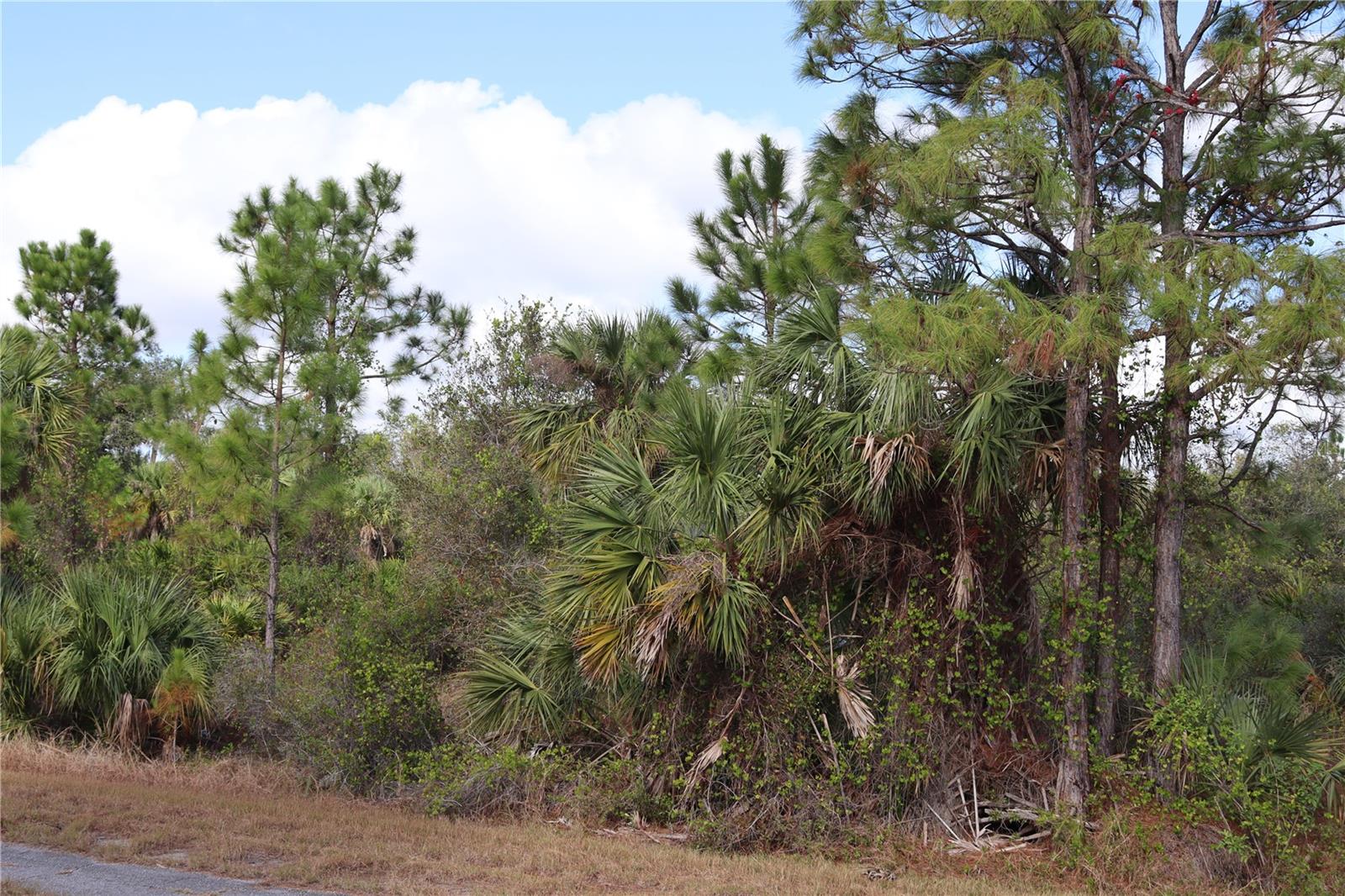 PATRIOT CIR, NORTH PORT, FL — photo 14