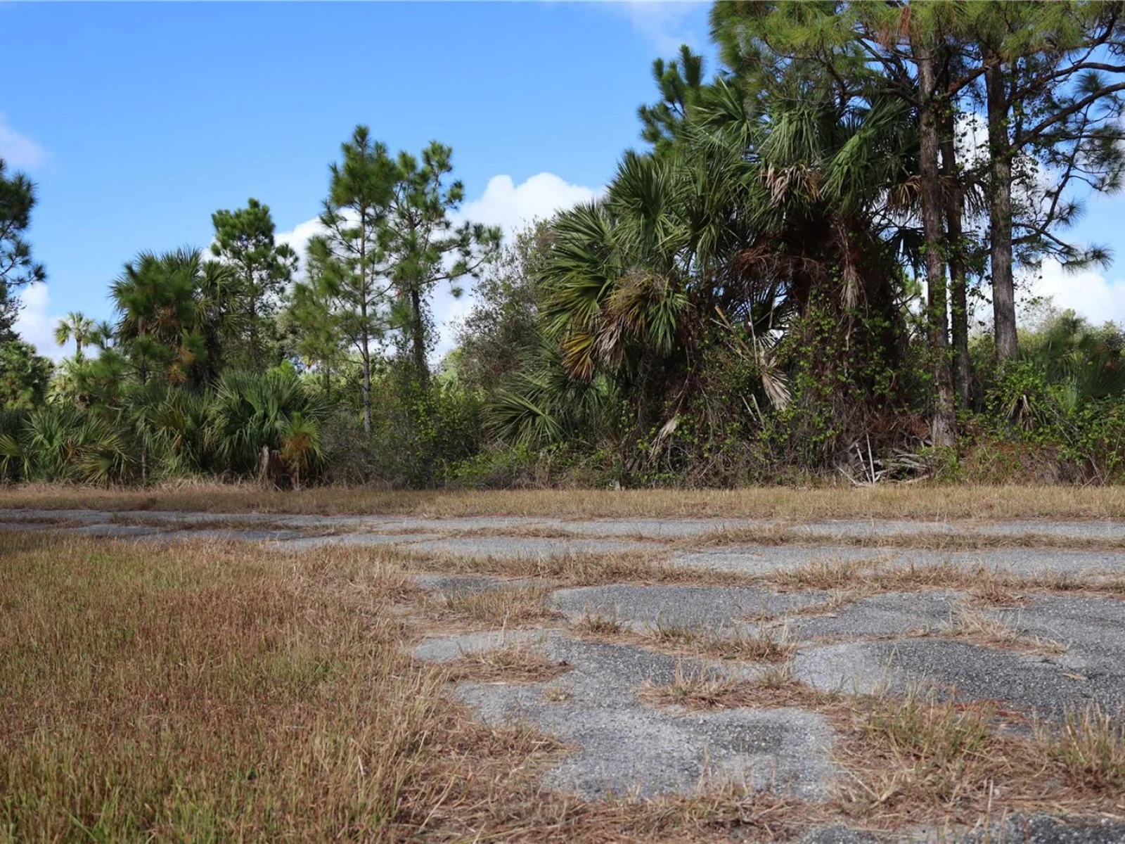 PATRIOT CIR, NORTH PORT, FL — photo 20