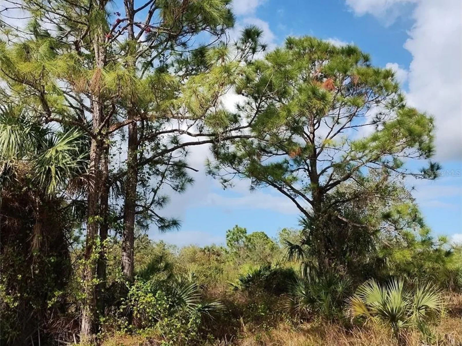 PATRIOT CIR, NORTH PORT, FL — photo 6
