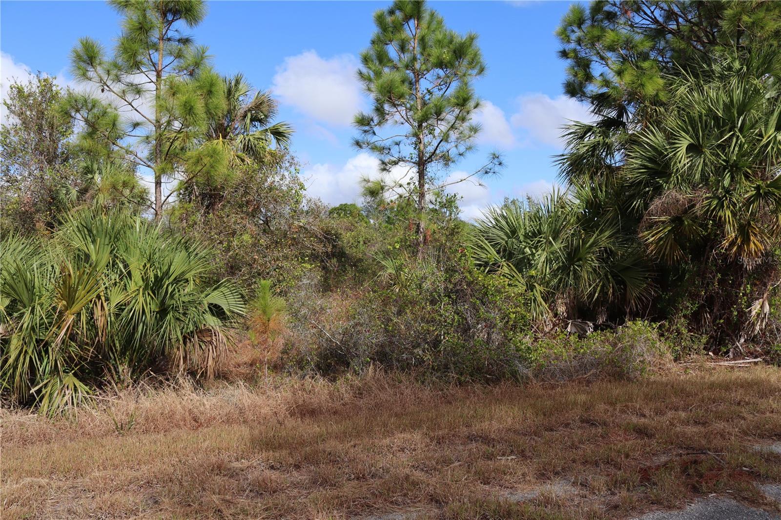 PATRIOT CIR, NORTH PORT, FL — photo 7