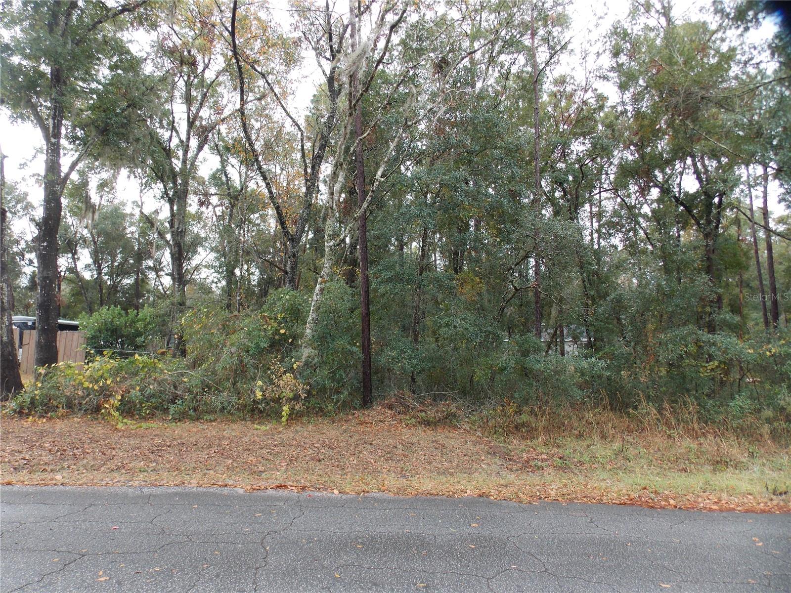 6660 E HAYNES LN, INVERNESS, FL — photo 2