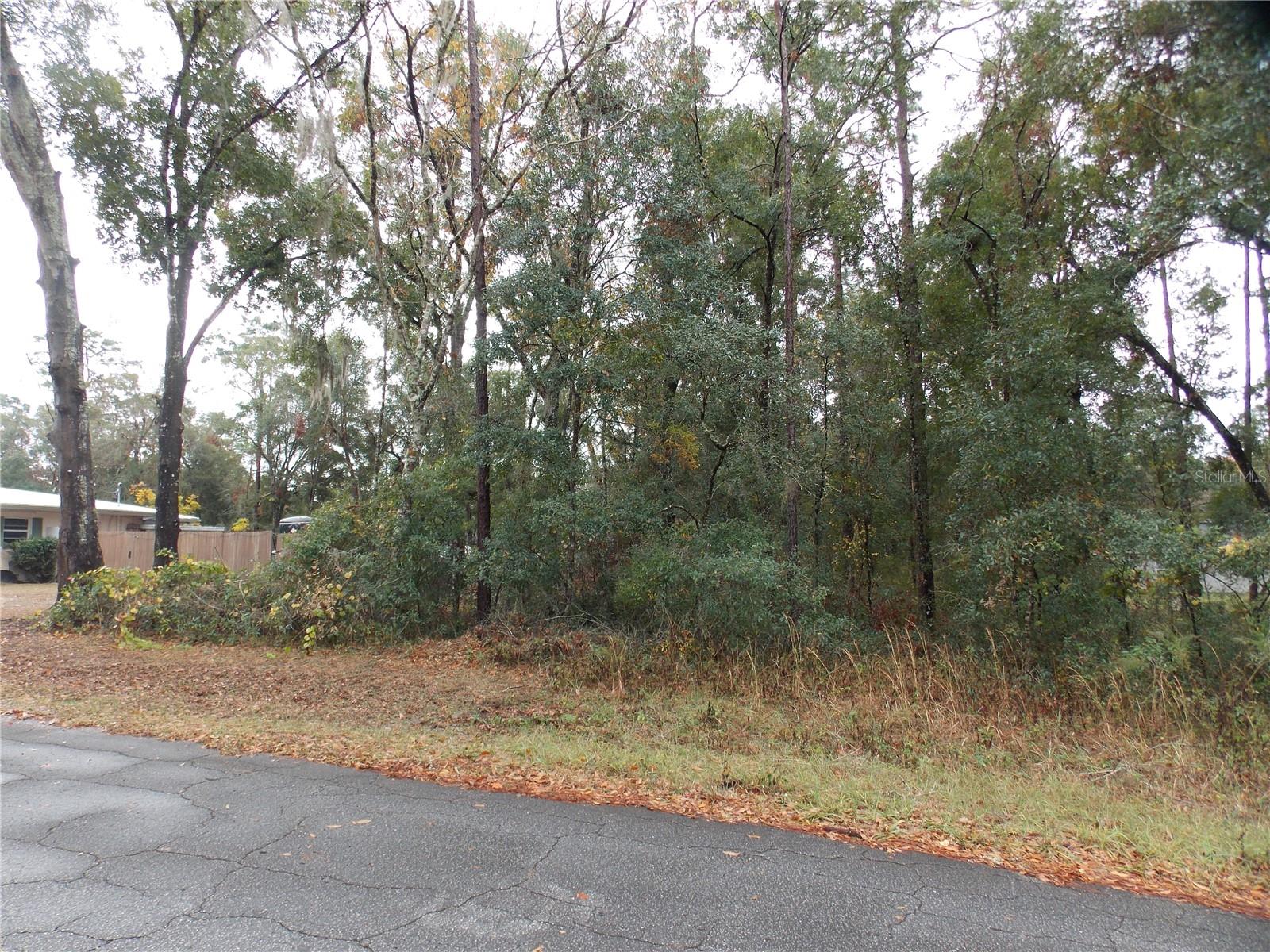 6660 E HAYNES LN, INVERNESS, FL — photo 3
