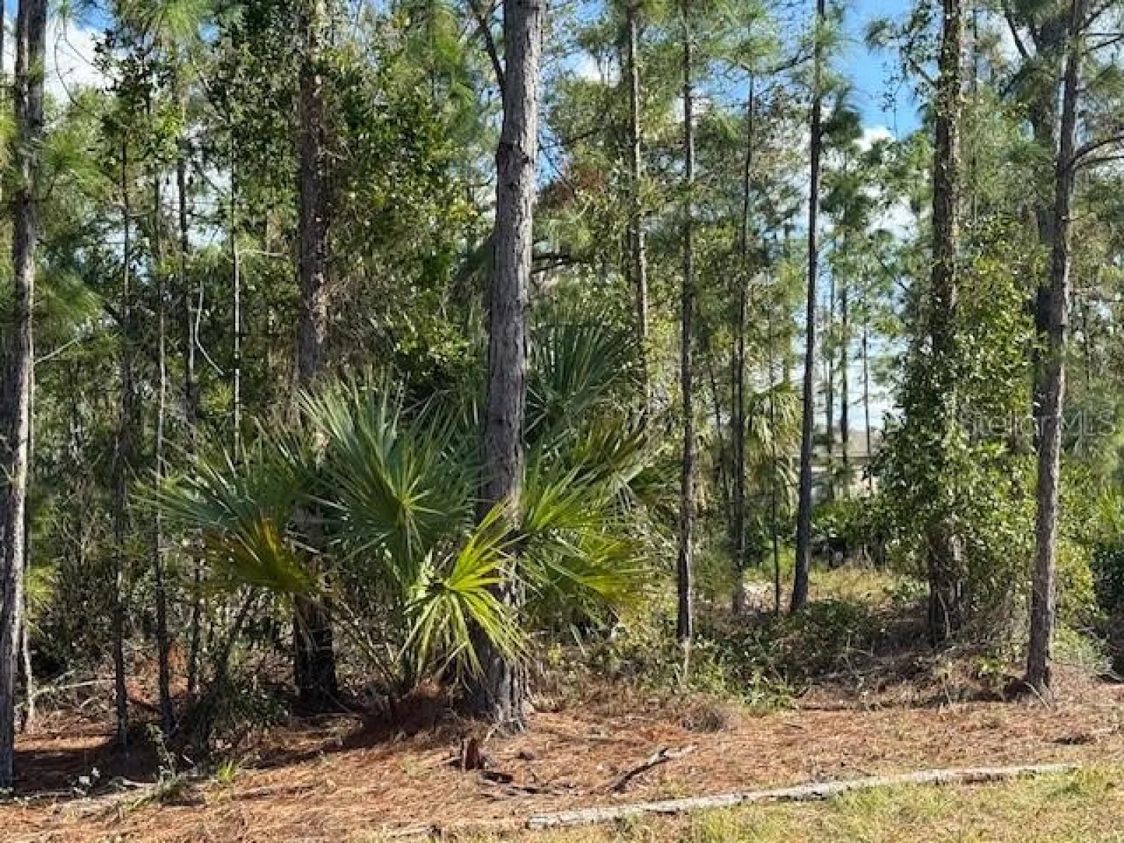142 ALGONQUIN ST, PORT CHARLOTTE, FL — photo 3