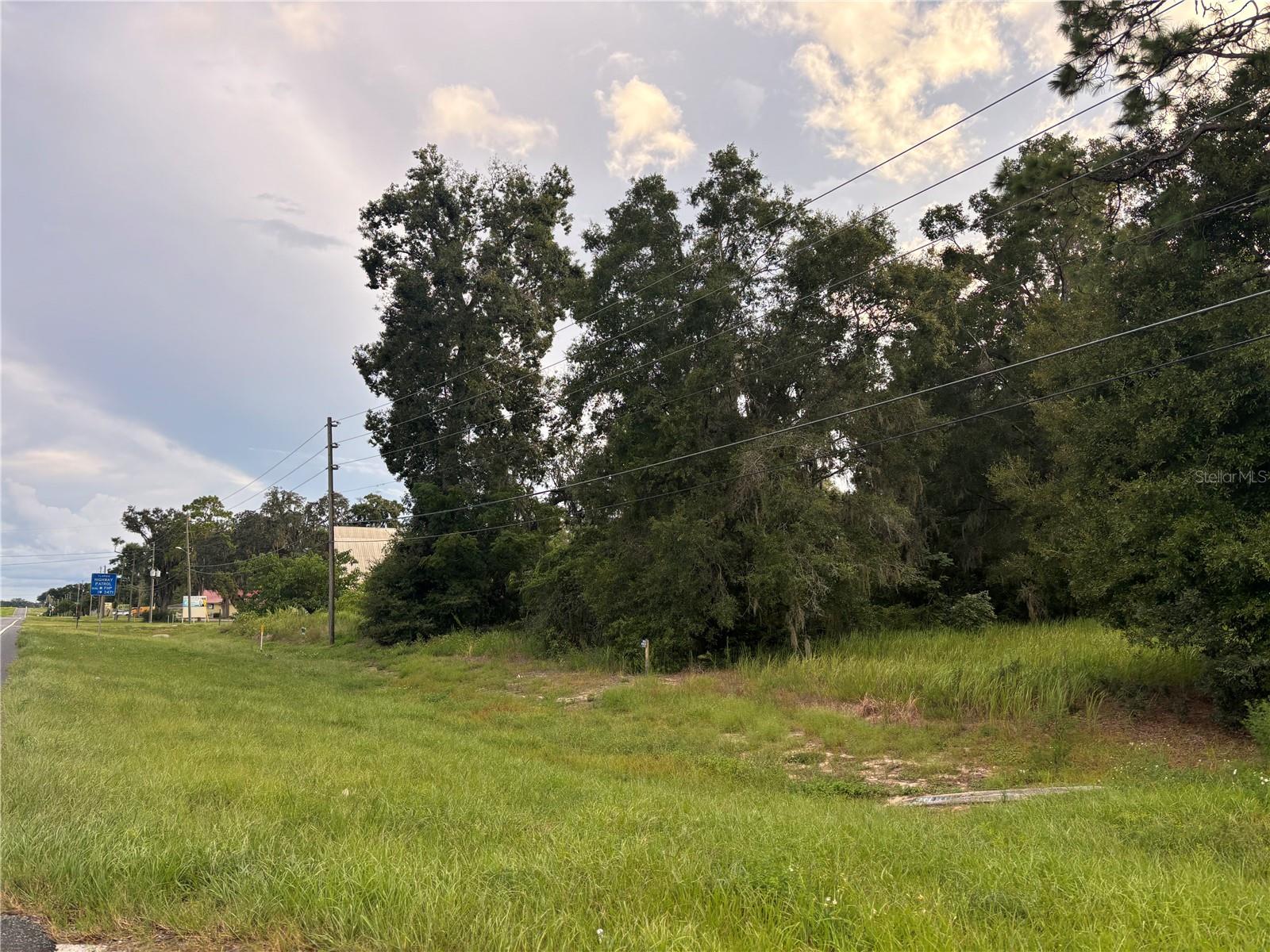 US HWY 301, BELLEVIEW, FL — photo 4