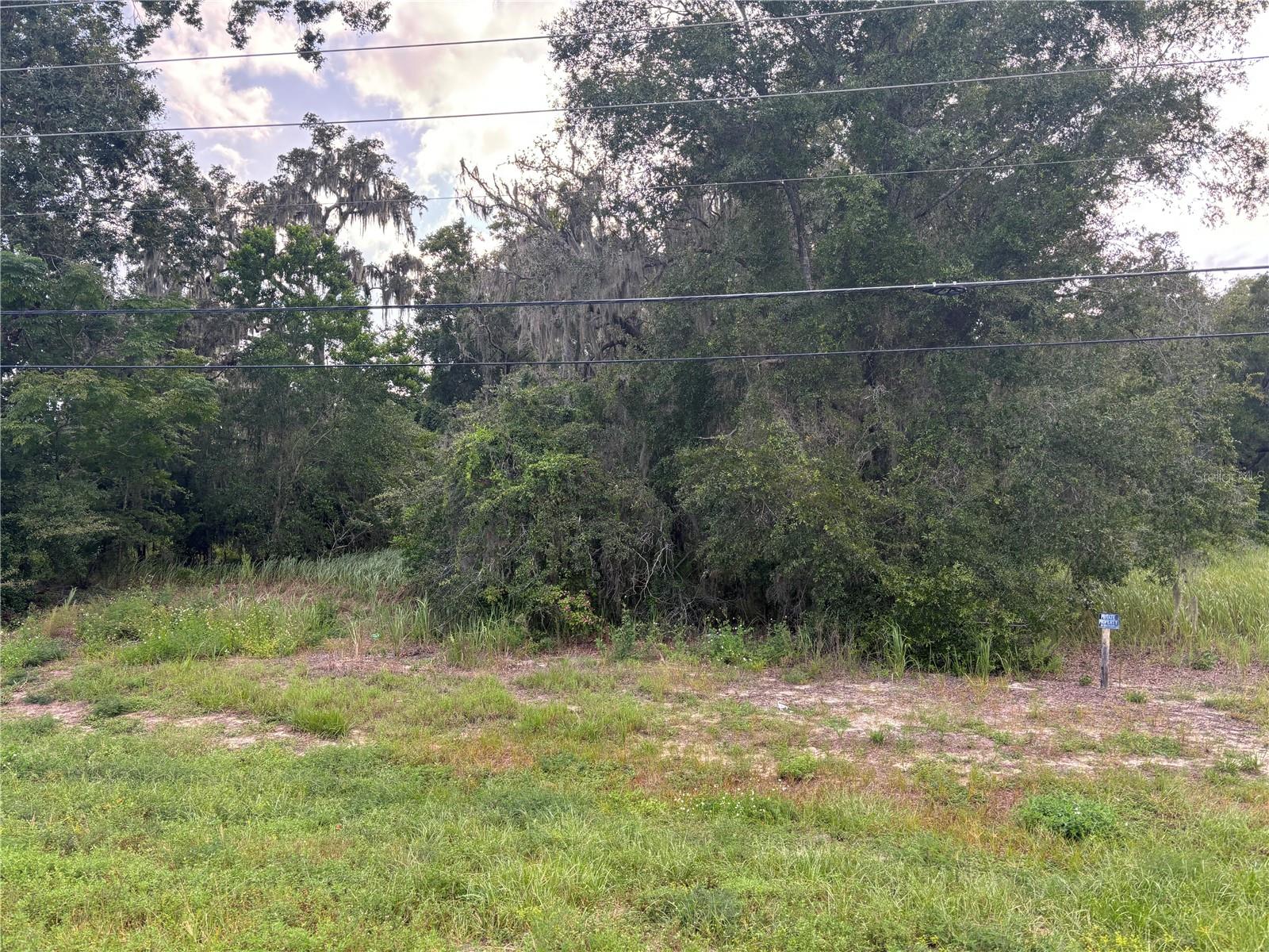 US HWY 301, BELLEVIEW, FL — photo 7