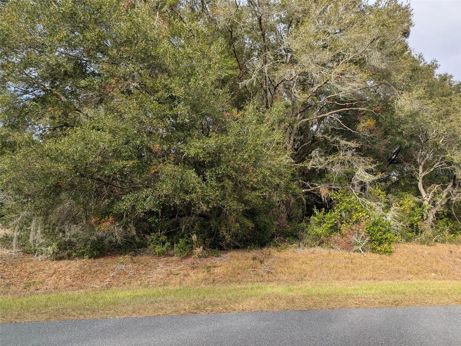 000 SW BEACH BLVD, DUNNELLON, FL — photo 2
