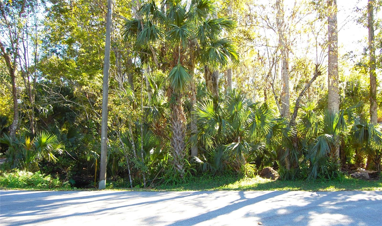 0 PALM DR, NEW SMYRNA BEACH, FL