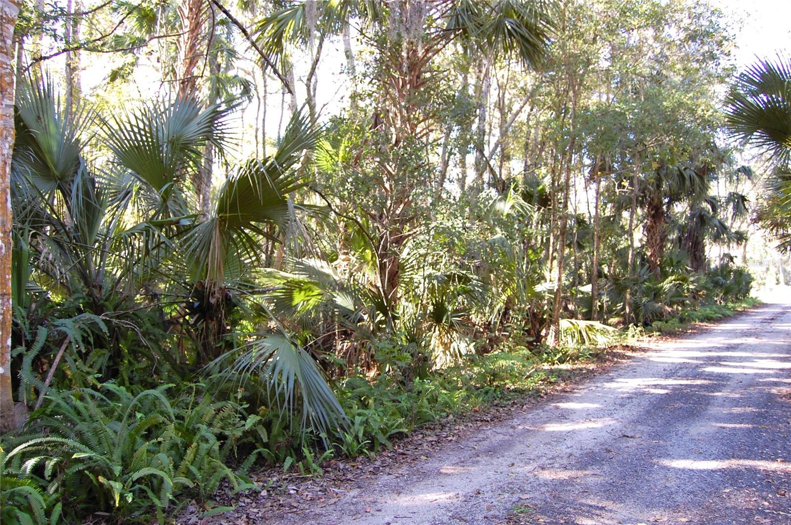 0 PALM DR, NEW SMYRNA BEACH, FL — photo 3