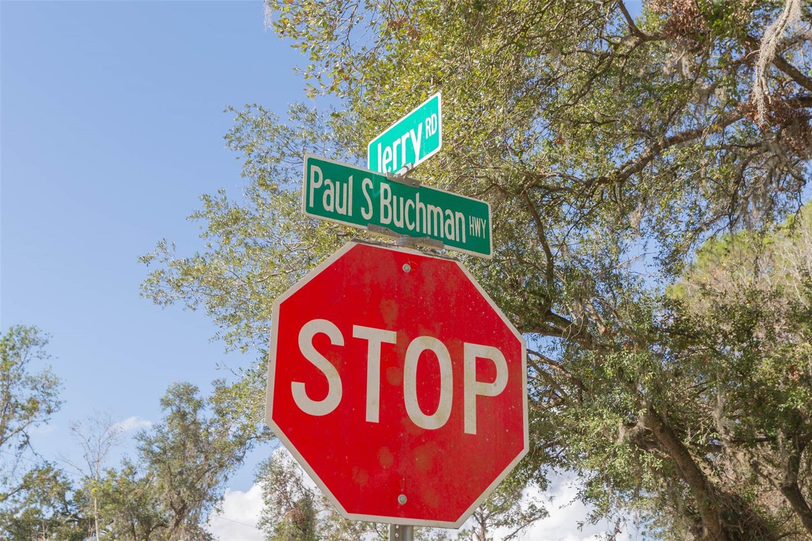 2050 PAUL S BUCHMAN HWY, ZEPHYRHILLS, FL — photo 4
