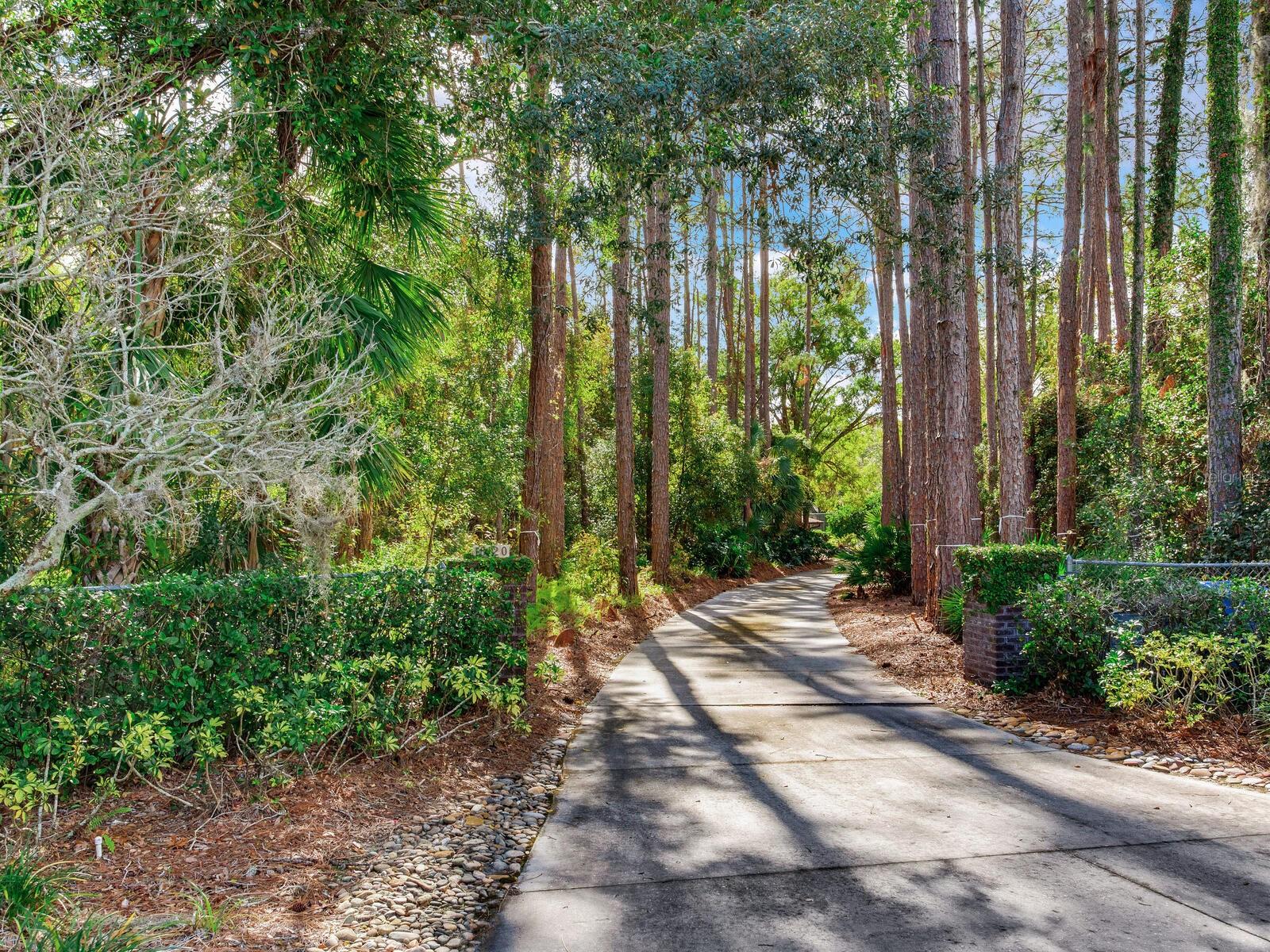 18120 WAYNE RD, ODESSA, FL — photo 8