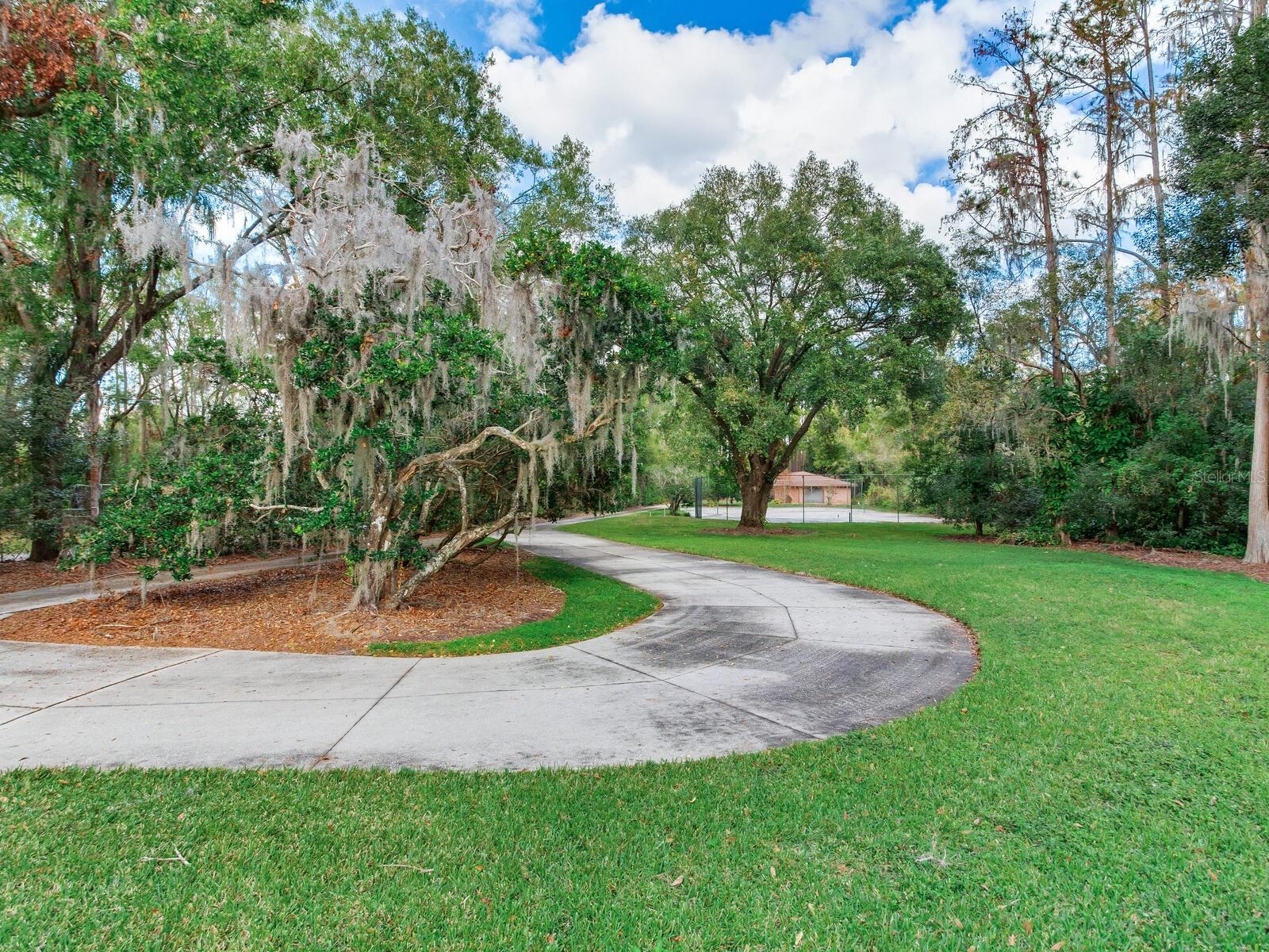 18120 WAYNE RD, ODESSA, FL — photo 96