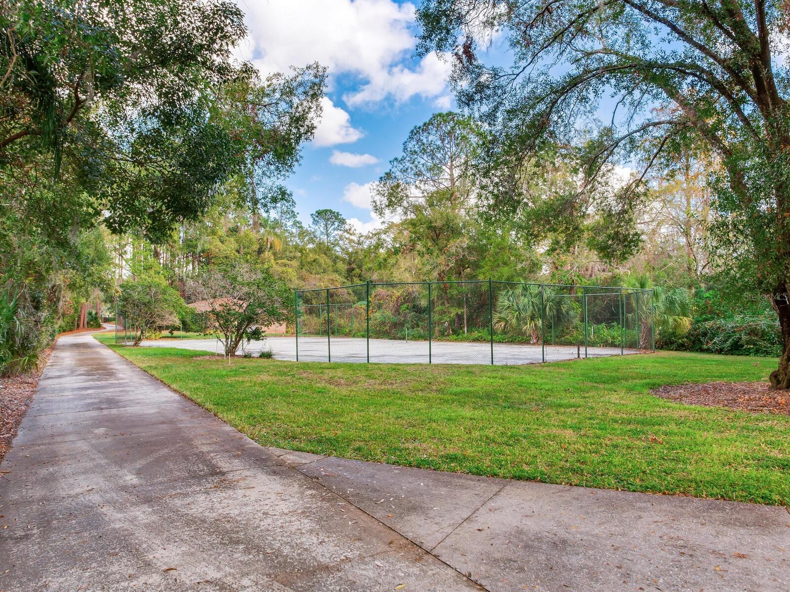 18120 WAYNE RD, ODESSA, FL — photo 98
