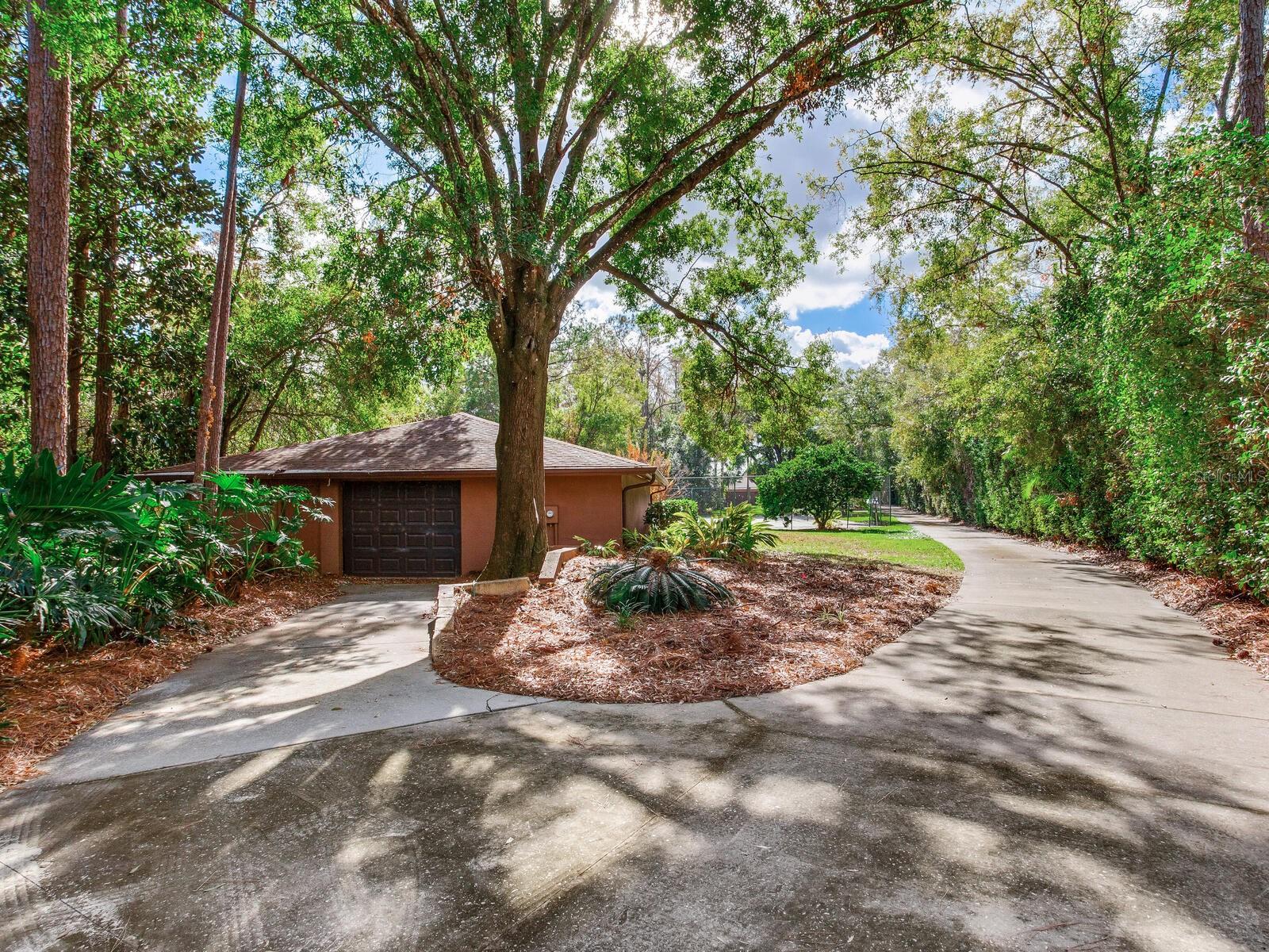 18120 WAYNE RD, ODESSA, FL — photo 9