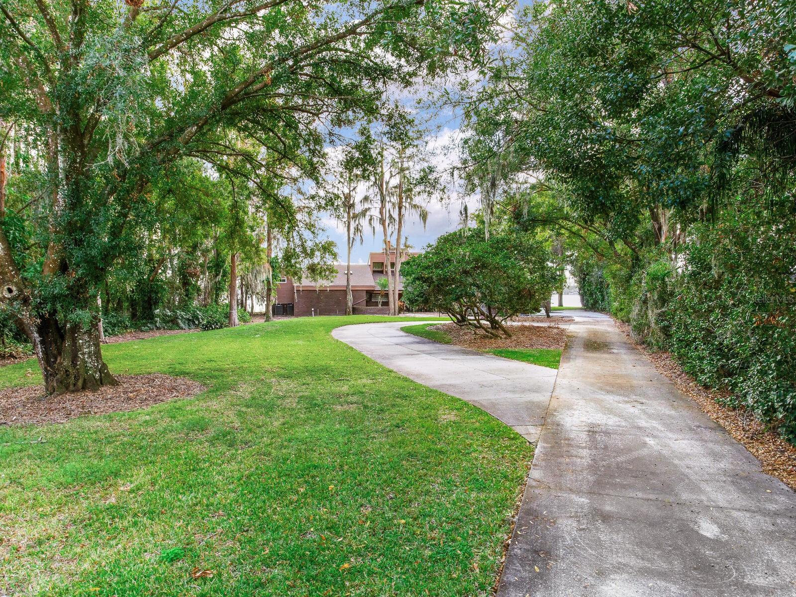 18120 WAYNE RD, ODESSA, FL — photo 10