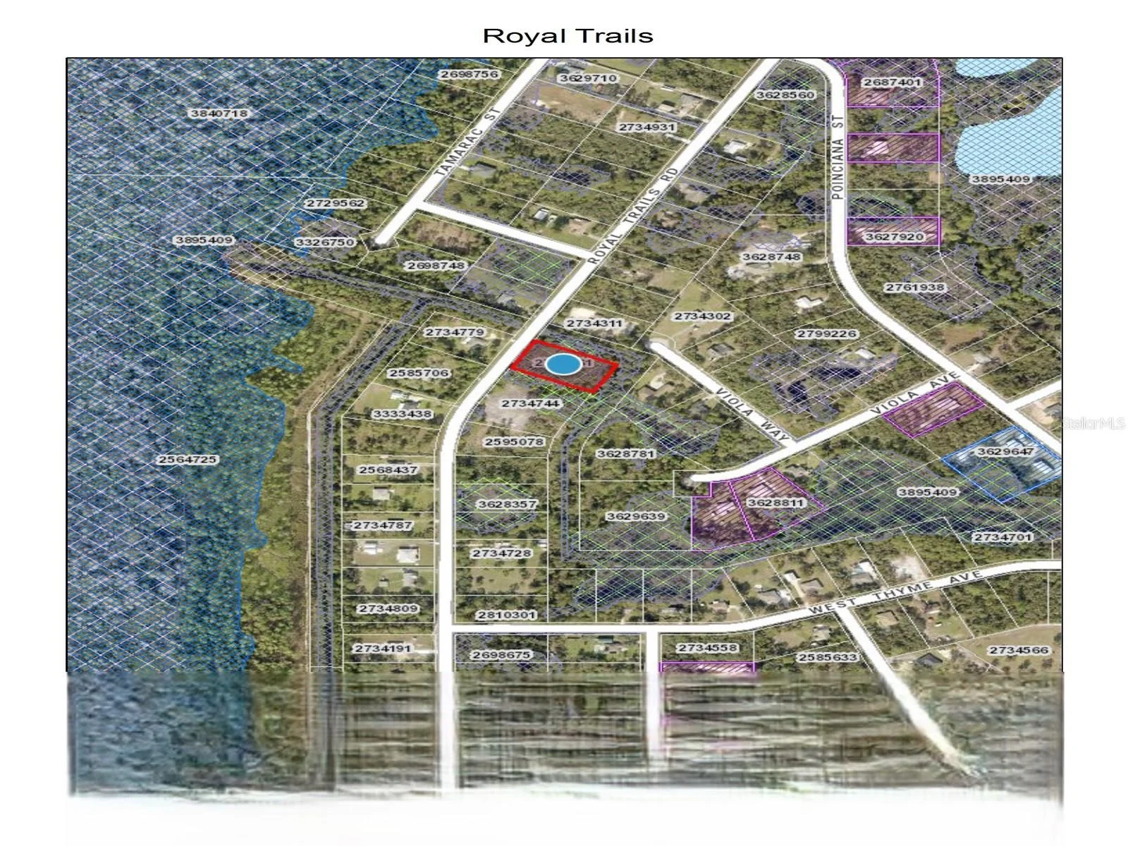 ROYAL TRAILS RD, EUSTIS, FL — photo 4