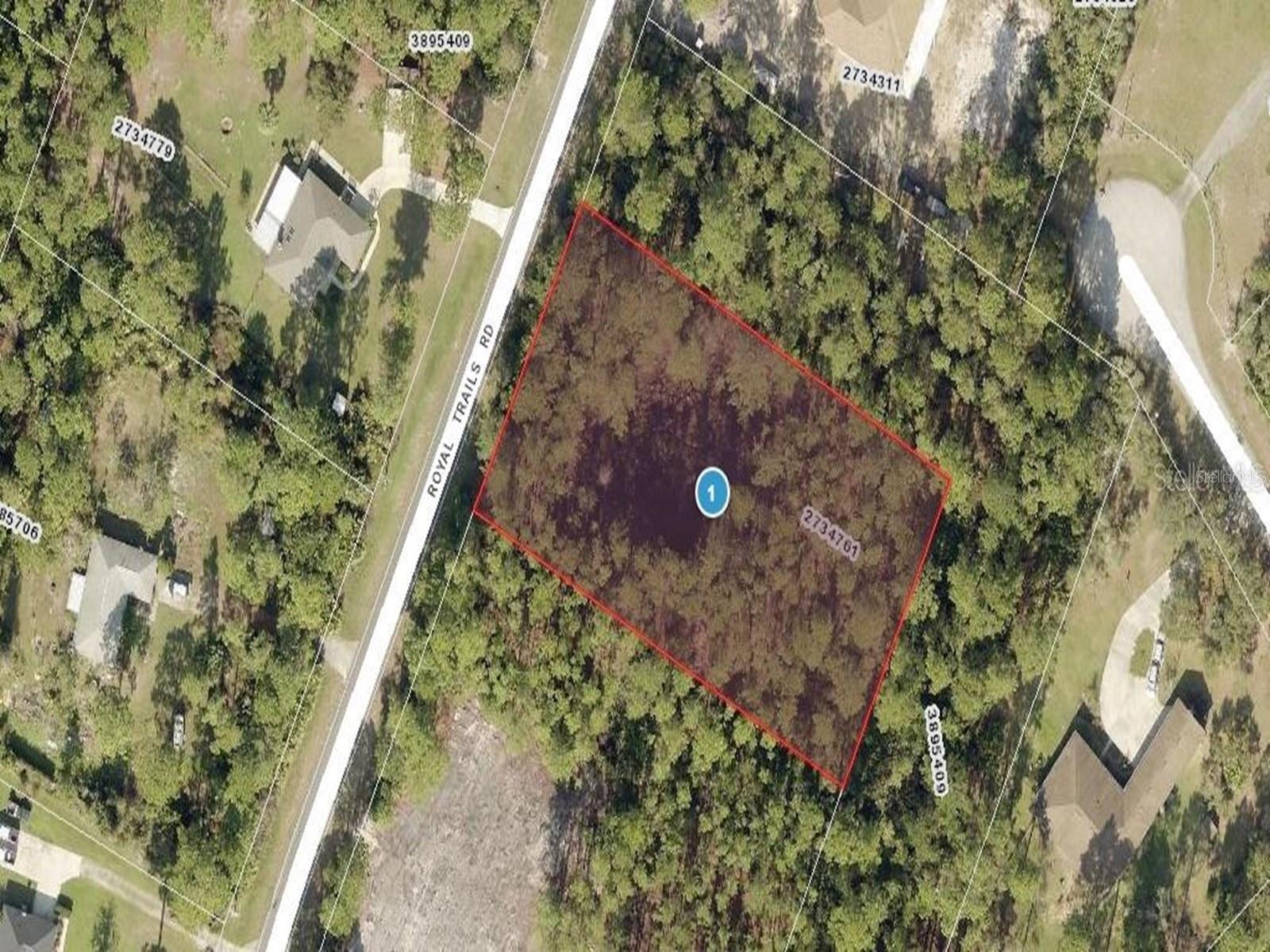 ROYAL TRAILS RD, EUSTIS, FL — photo 9