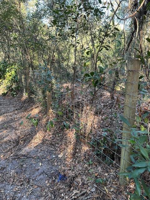 1918 MOUNTAIN LAKE CUTOFF RD, LAKE WALES, FL — photo 32
