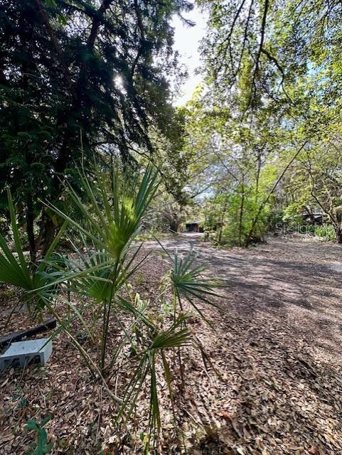 1918 MOUNTAIN LAKE CUTOFF RD, LAKE WALES, FL — photo 34