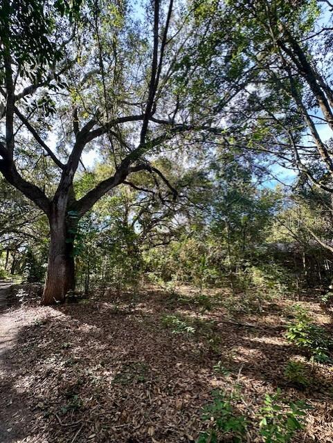 1918 MOUNTAIN LAKE CUTOFF RD, LAKE WALES, FL — photo 36