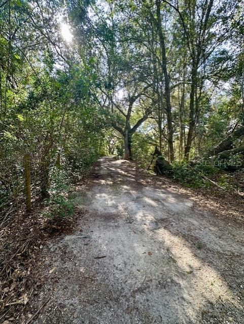 1918 MOUNTAIN LAKE CUTOFF RD, LAKE WALES, FL — photo 37