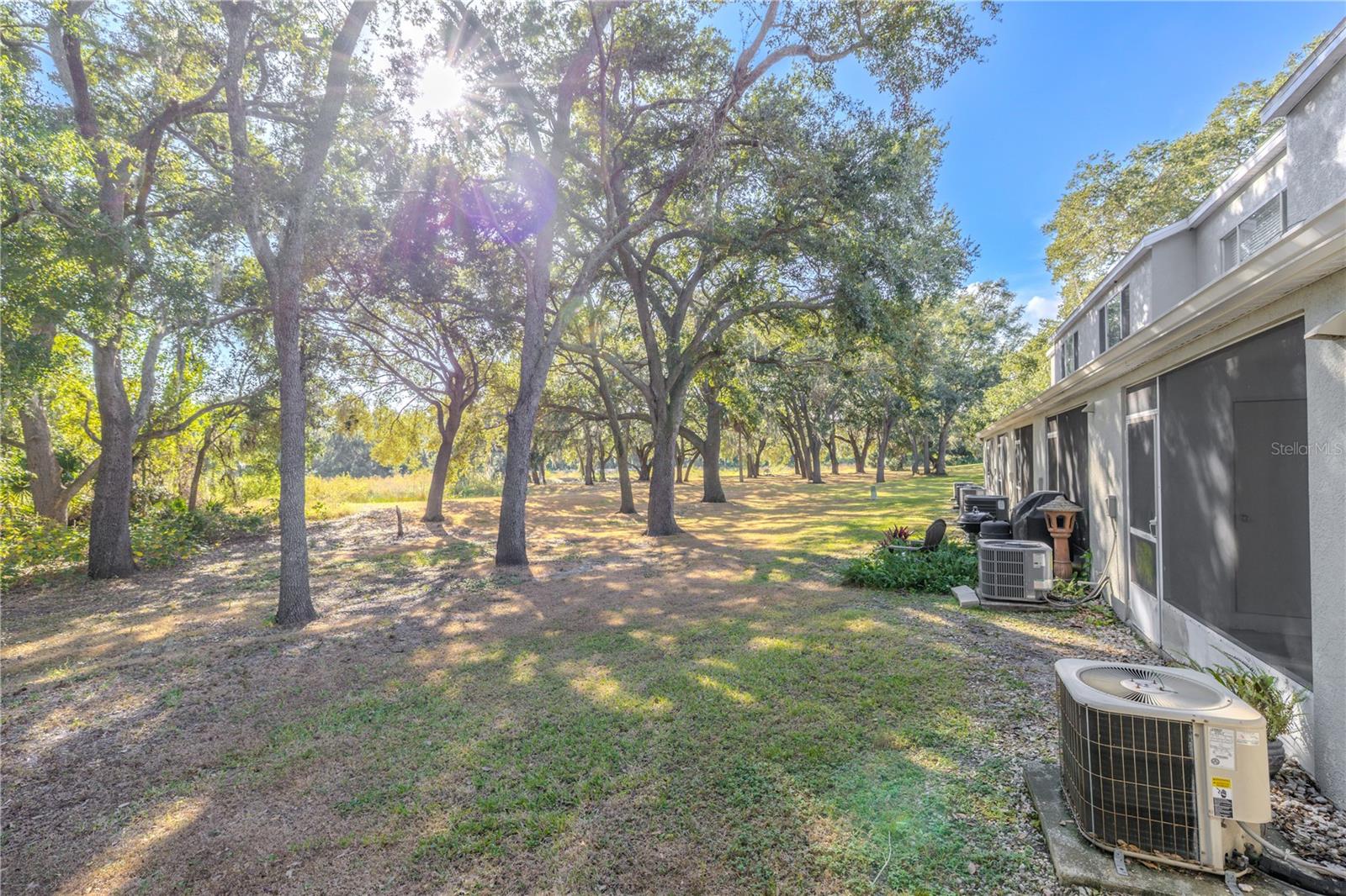 2432 LAKE WOODBERRY CIR, BRANDON, FL — photo 13