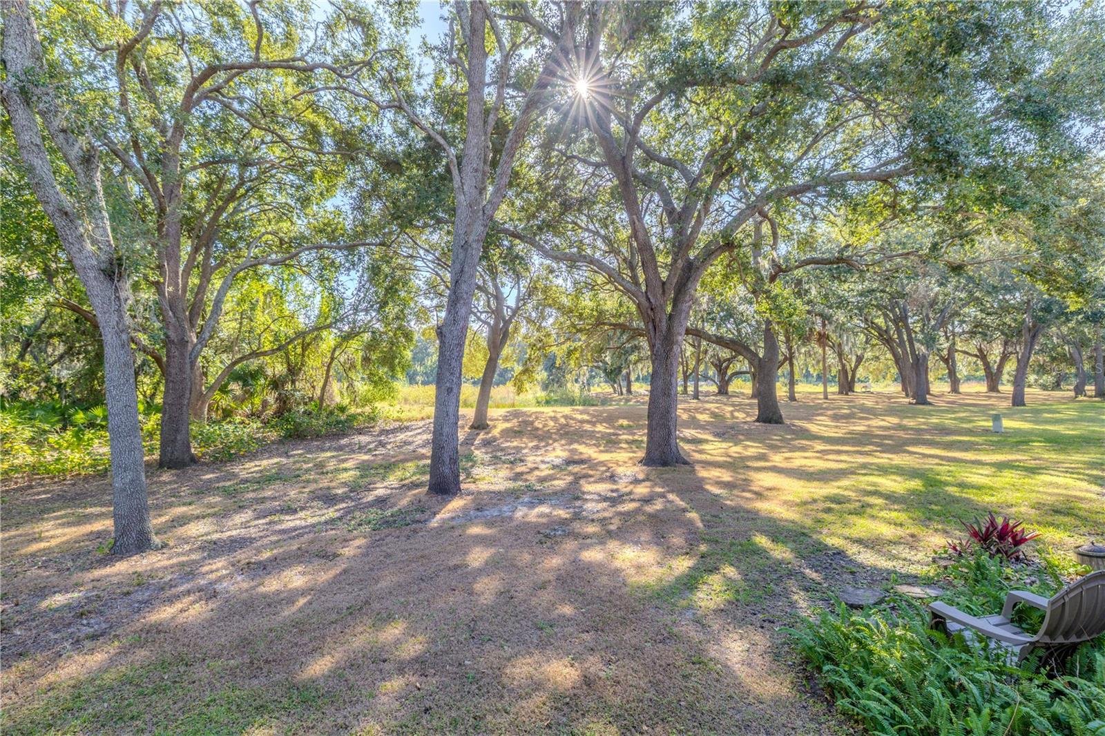 2432 LAKE WOODBERRY CIR, BRANDON, FL — photo 28