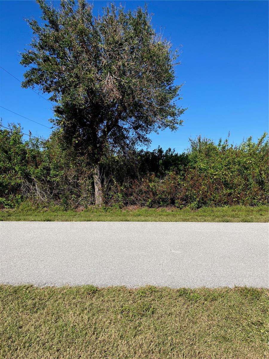 11048 GRAFTON AVE, ENGLEWOOD, FL