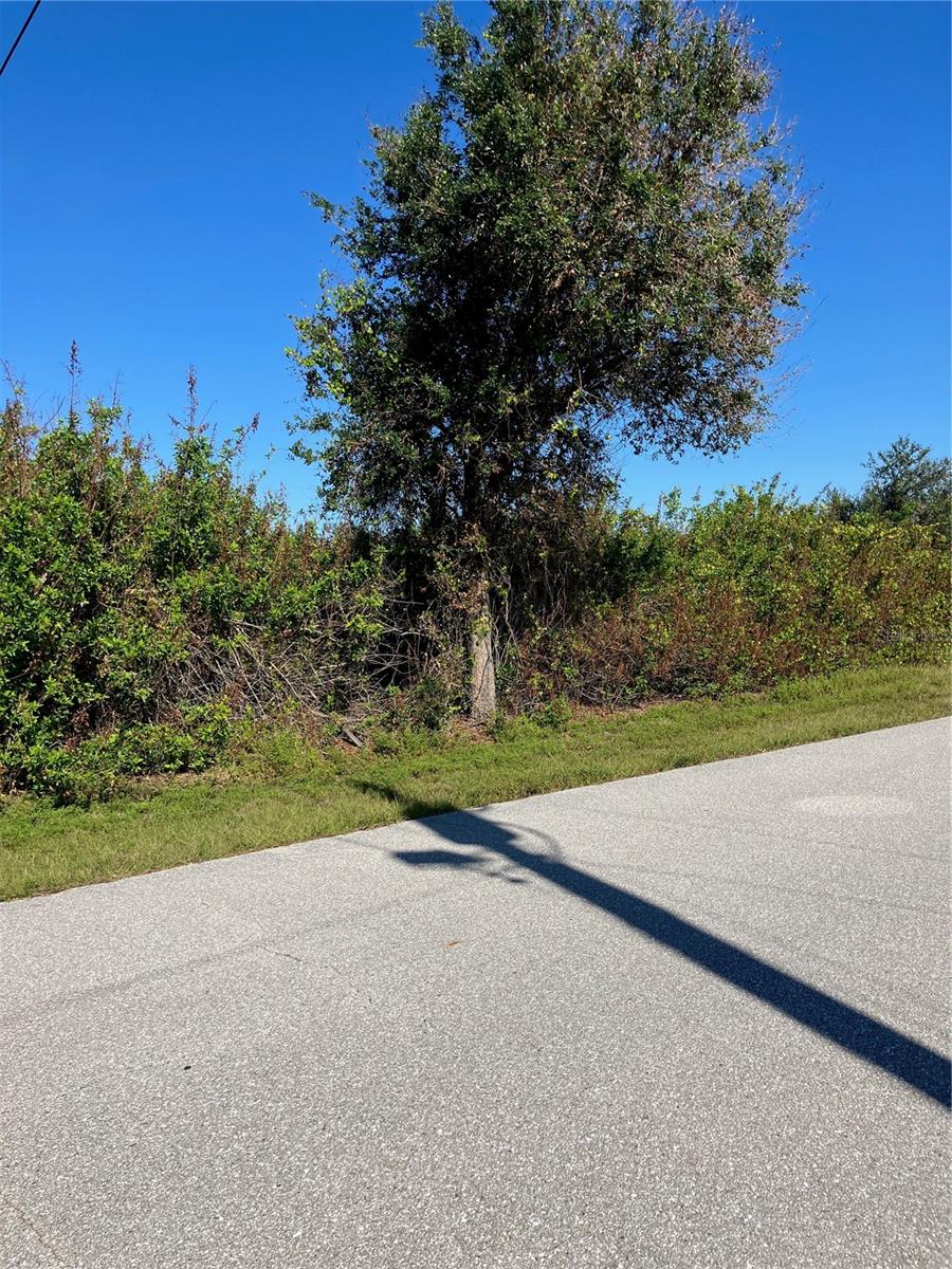 11048 GRAFTON AVE, ENGLEWOOD, FL — photo 2