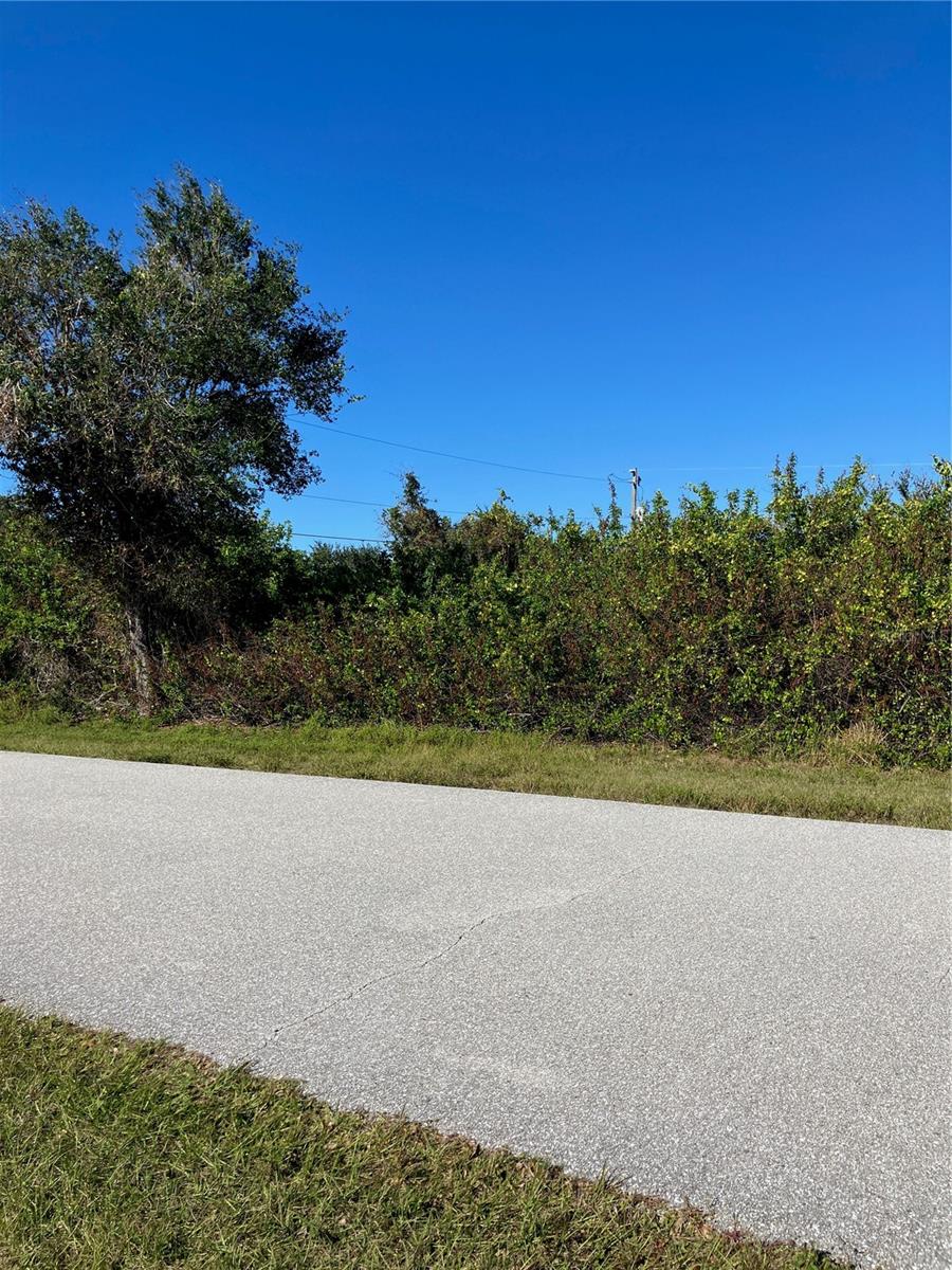 11048 GRAFTON AVE, ENGLEWOOD, FL — photo 3