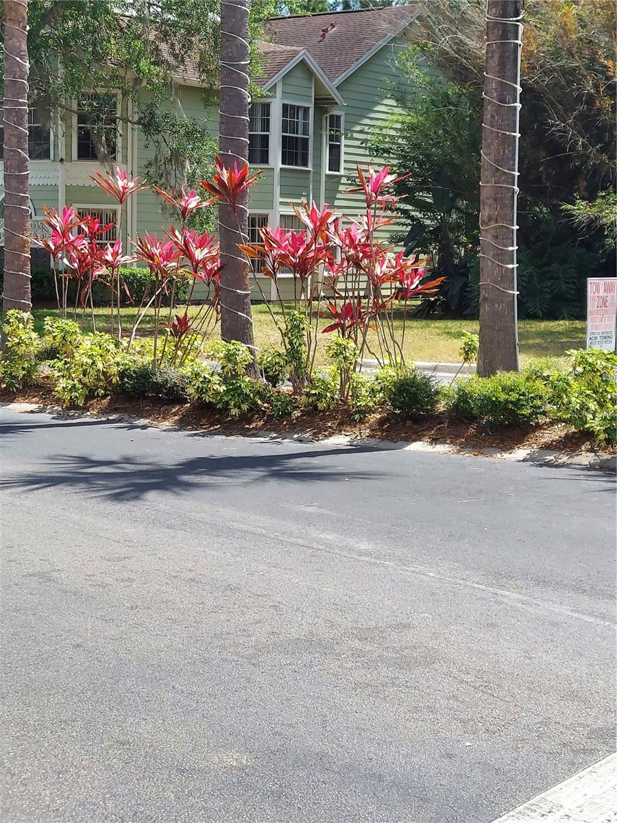 2027 ROYAL BAY BLVD #77, KISSIMMEE, FL — photo 47