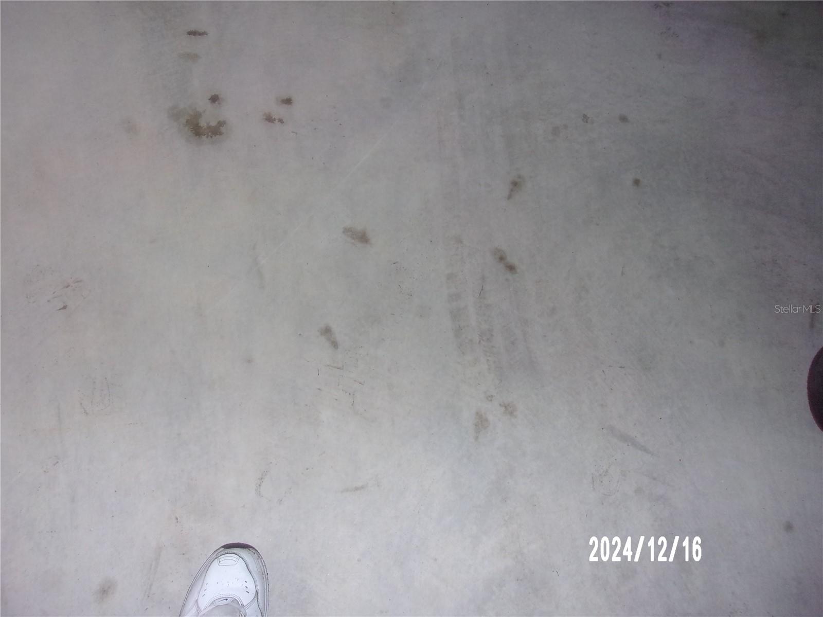 17935 SE 10TH PL, SILVER SPRINGS, FL — photo 33