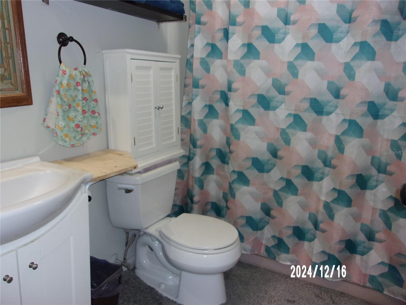 17935 SE 10TH PL, SILVER SPRINGS, FL — photo 54