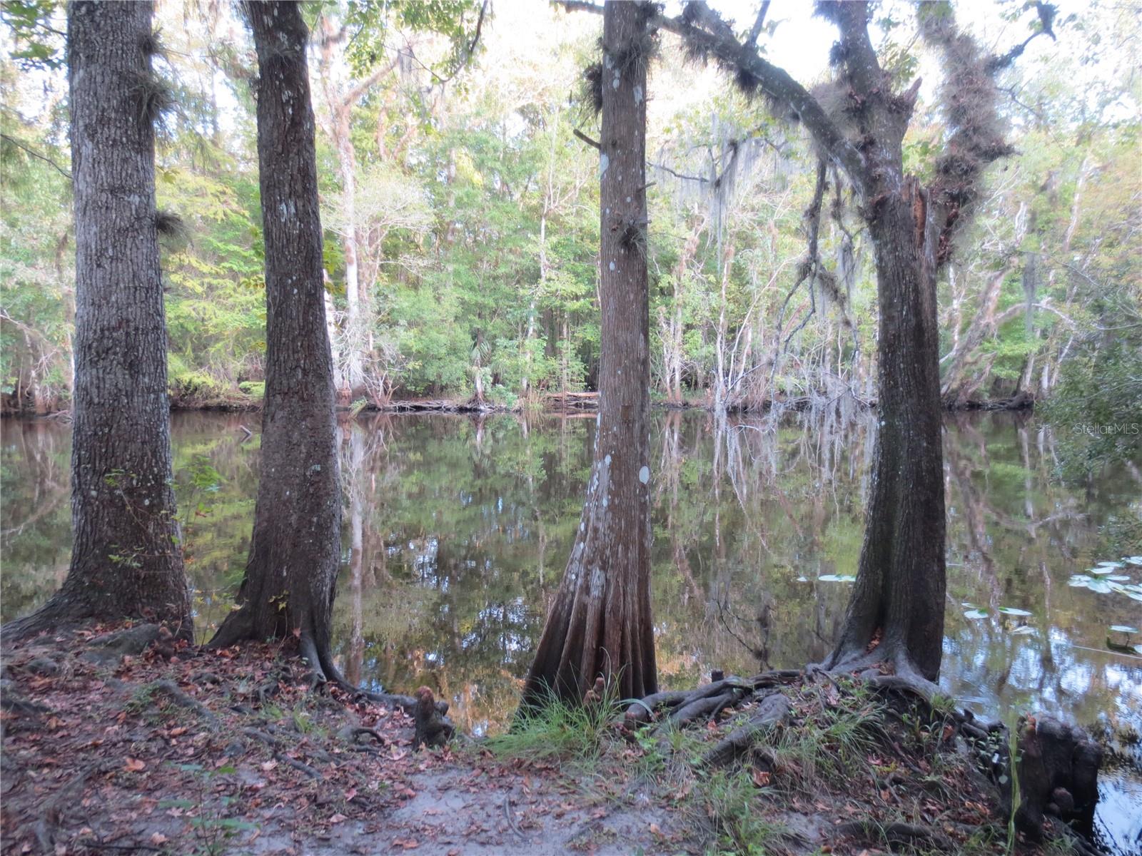 17935 SE 10TH PL, SILVER SPRINGS, FL — photo 87