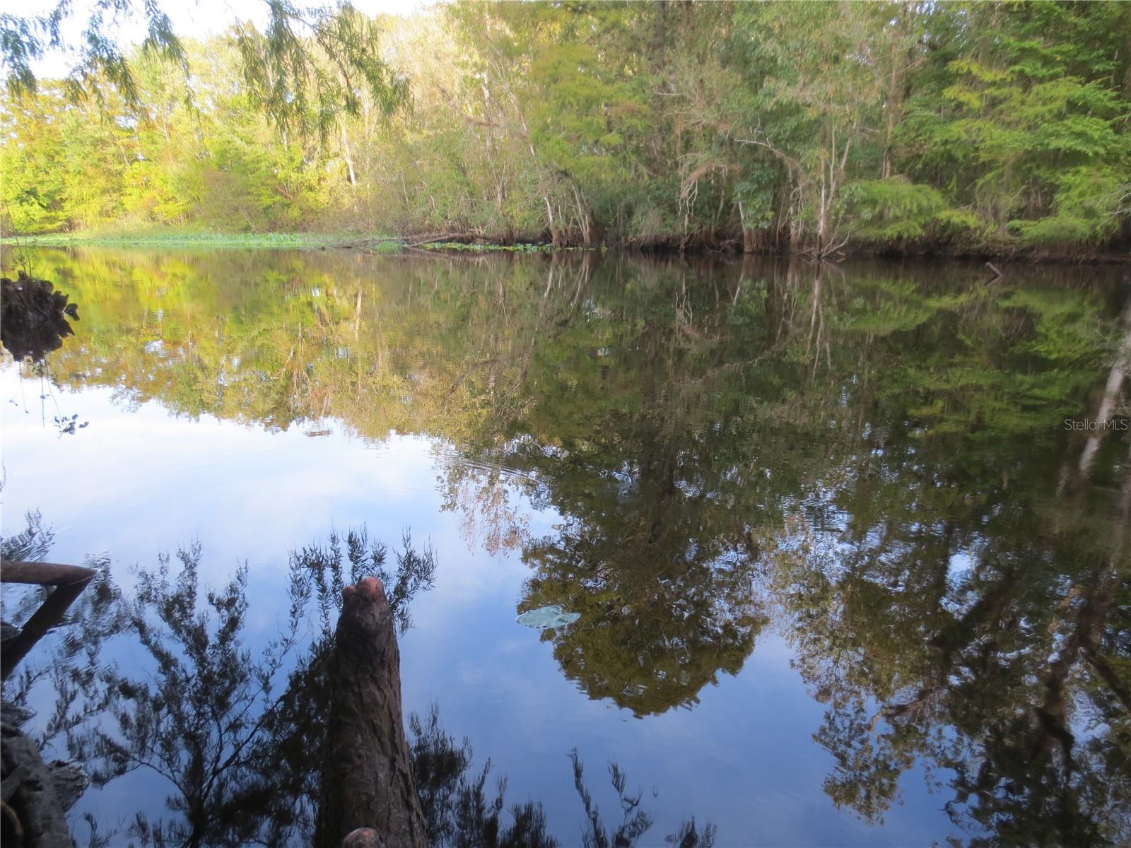 17935 SE 10TH PL, SILVER SPRINGS, FL — photo 88